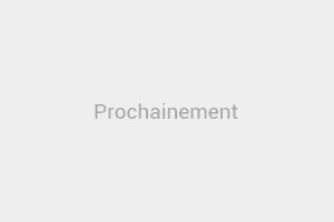 Animage Brest-Guipavas Scanner veterinaire et chirurgie